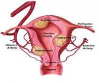 article-inomywmata-4f45d072