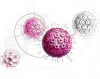 article-ios-hpv-9e9c9d6b